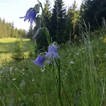 Apartma In Soba Pri Bregarju Апартаменты Бохинь