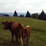 Апартаменты Apartma In Soba Pri Bregarju Бохинь