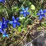 Apartma In Soba Pri Bregarju Бохинь