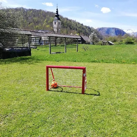 Apartma Pri Bregarju Apartment Bohinj