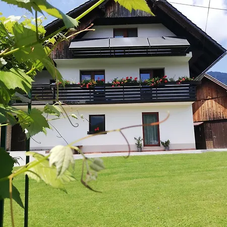 Apartma Pri Bregarju Apartment