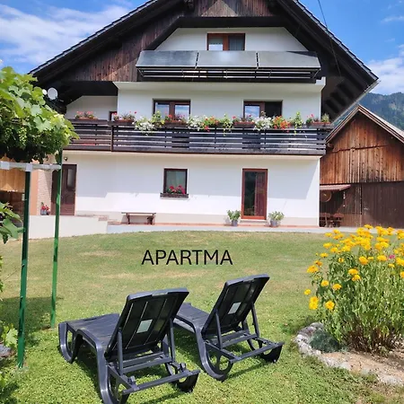 Apartma In Soba Pri Bregarju Appartamento *