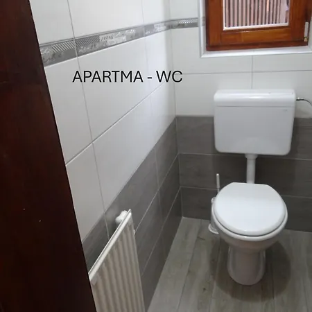Apartma In Soba Pri Bregarju Apartma Bohinj