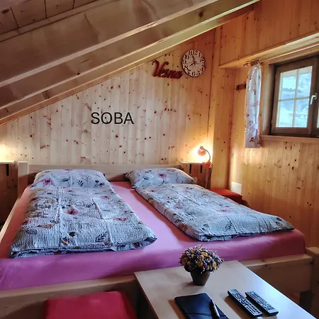 Apartma In Soba Pri Bregarju Apartment *