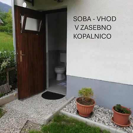 Apartma In Soba Pri Bregarju Apartment Bohinj