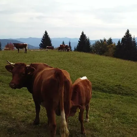 Appartement Apartma In Soba Pri Bregarju Bohinj