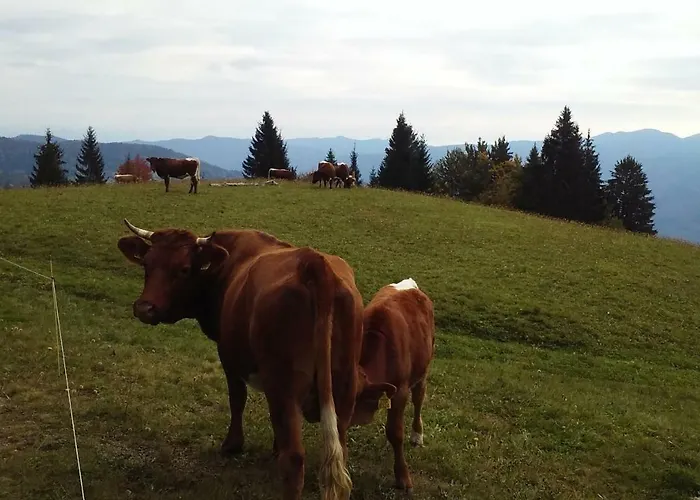 Apartment Apartma In Soba Pri Bregarju Bohinj